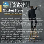 Market News July 2023