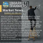 Market News for June 2023